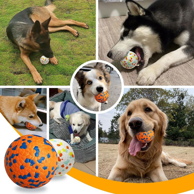 Pelota para perros