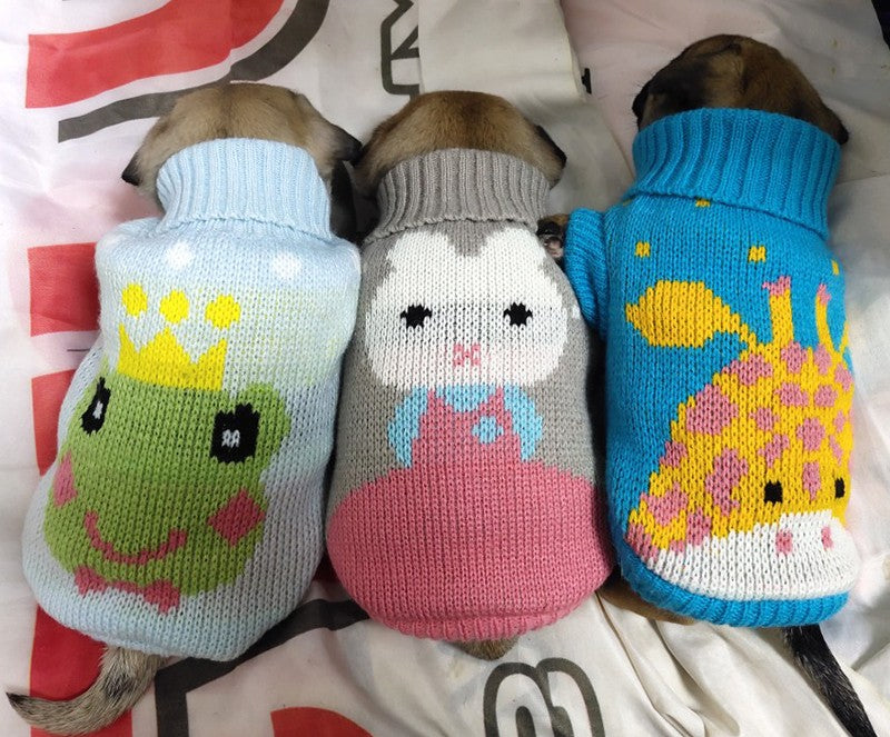 Suéter para Perros y Gatos