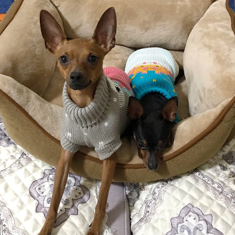 Suéter para Perros y Gatos